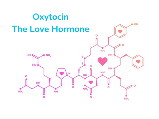 Oxytocin: The Molecular Bond of Love Between Lovers