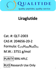 Liraglutide (GLP-1 Analog)
