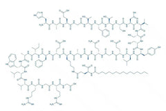 Liraglutide (GLP-1 Analog)
