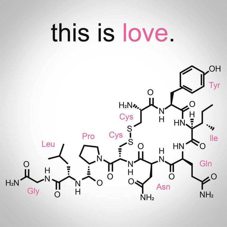 Oxytocin, The Love Hormone